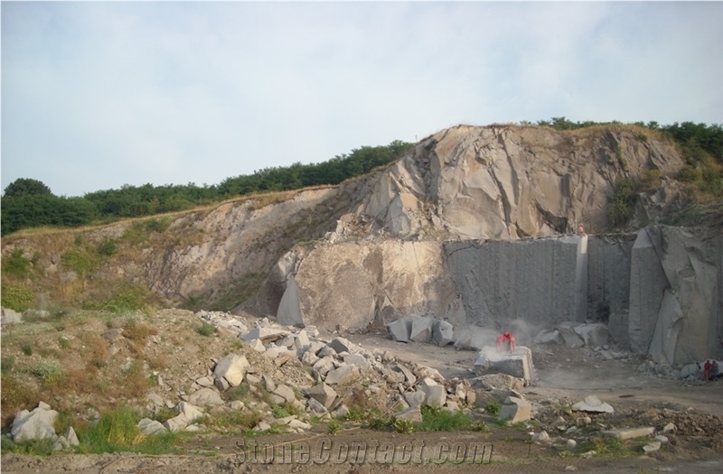Andesite Pietroasa Quarry