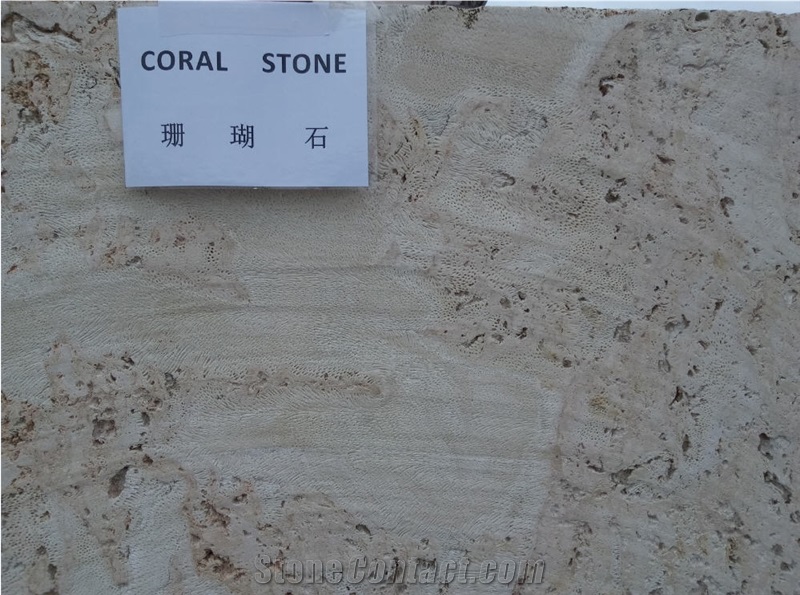 Boca Chica Coral Stone-Coralina Beige Coral Stone  Quarry