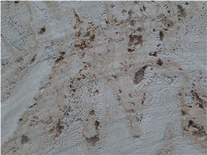 Boca Chica Coral Stone-Coralina Beige Coral Stone Quarry