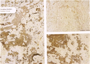 Coralina Gold Coral Stone-Golden Coral Stone Quarry