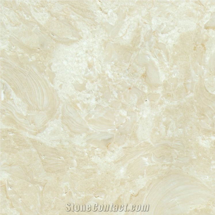 Abalone Limestone 