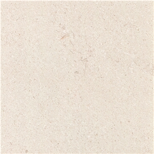 Adalya Limestone