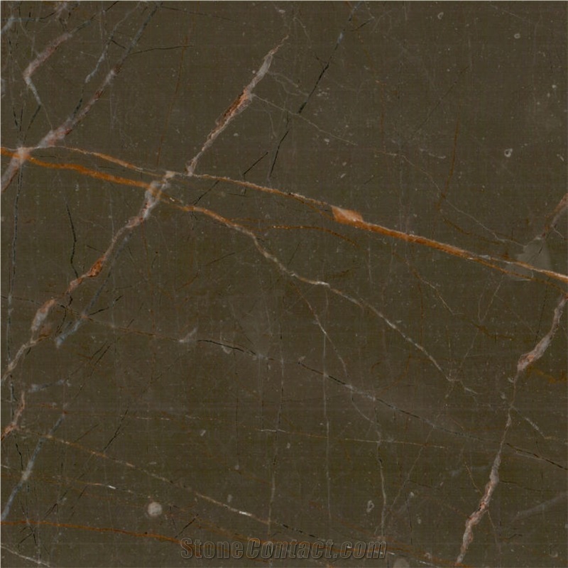 Afrodite Brown Marble Tile