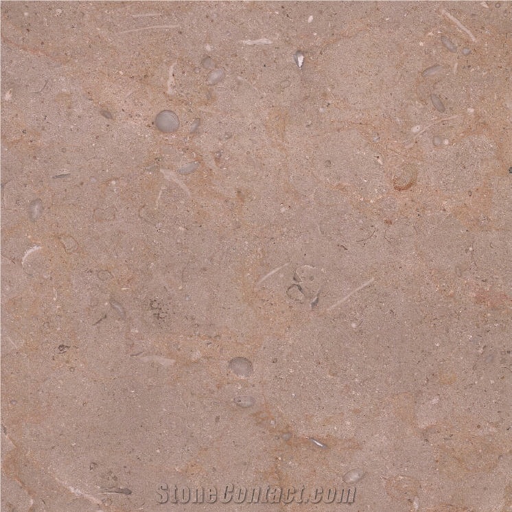 Algonquin Limestone 