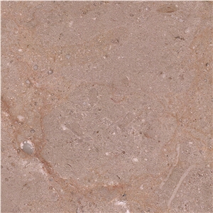 Algonquin Limestone Tile