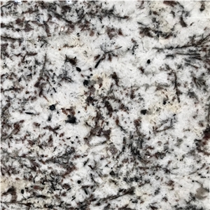 Alps White Granite Tile