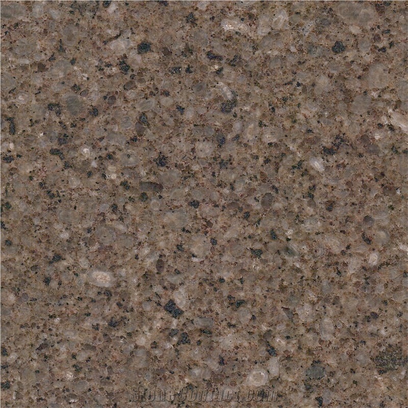 Ancient Brown Granite 