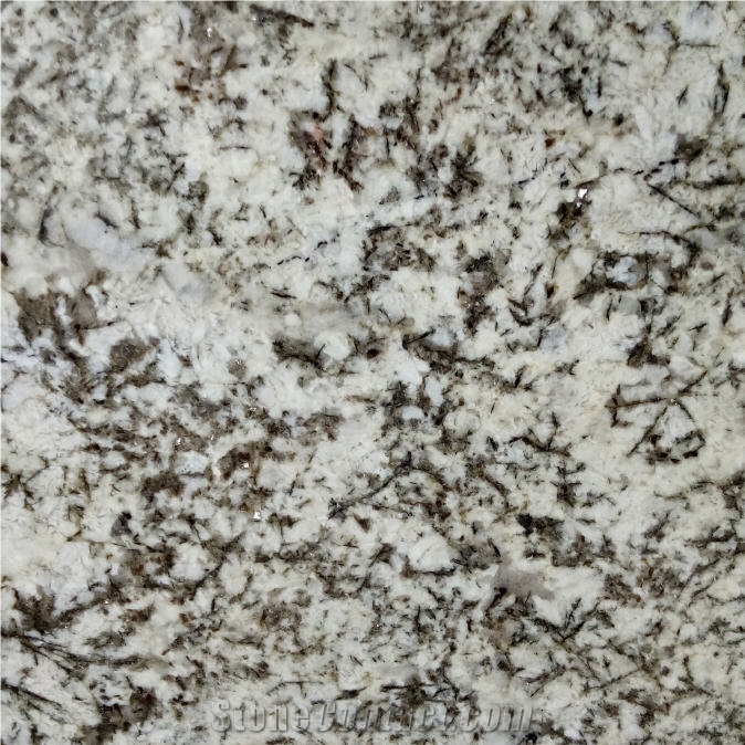Antico Bianco Granite - White Granite - StoneContact.com