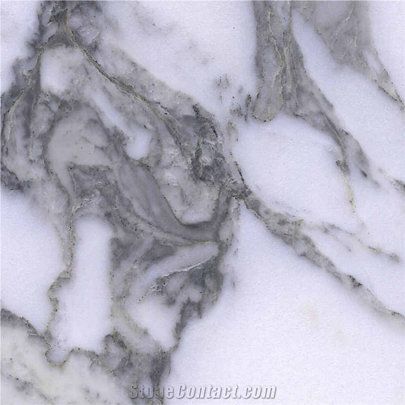 Arabescato Carrara Marble Tile