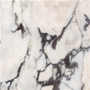 Arabescato Violet Marble