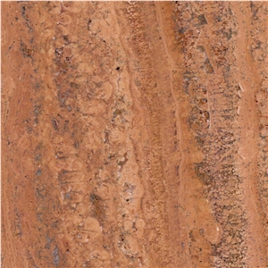 Arachnis Brown