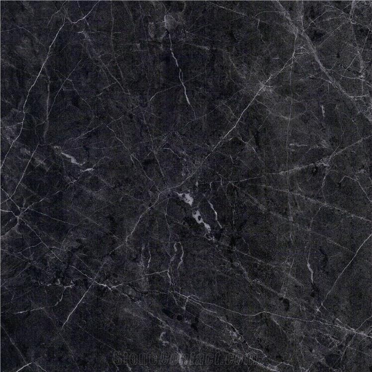 Argos Black Marble - Black Marble - StoneContact.com