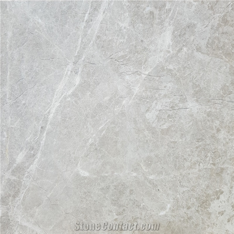 Aris Silver Marble - Silver Marble - StoneContact.com
