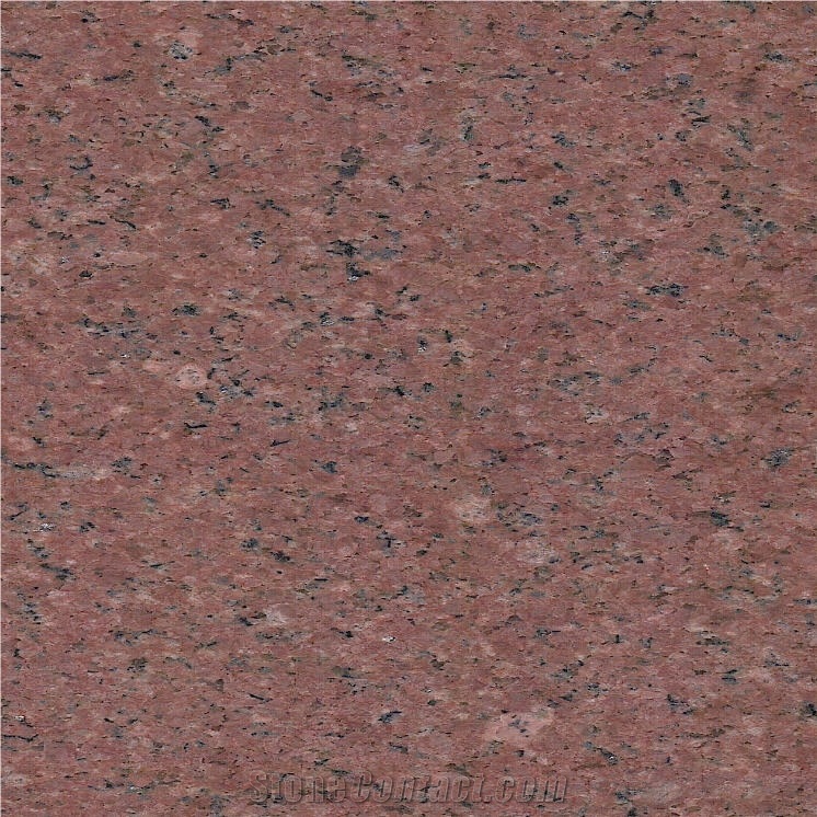 Ariston Red Granite Tile