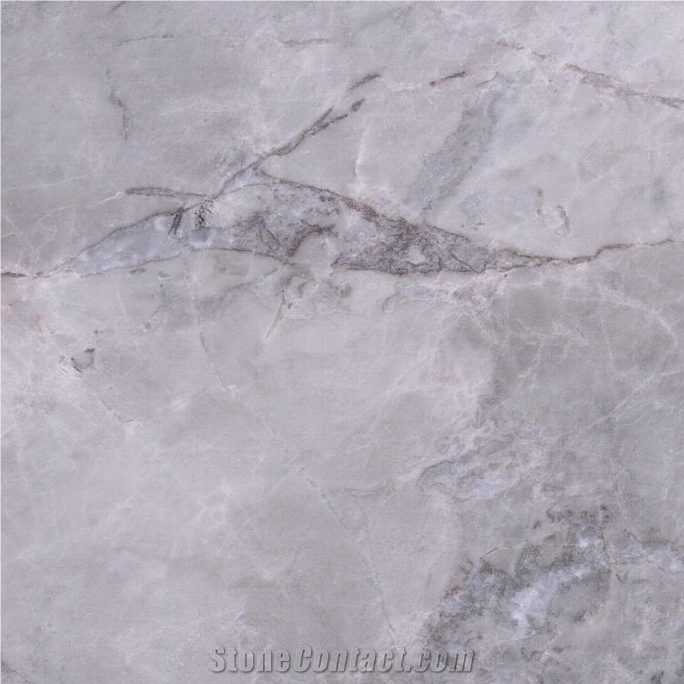 Armani Silver Marble Tile
