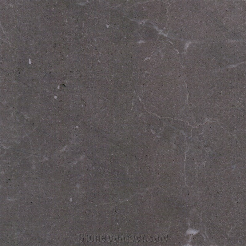 Assinis Silver Grey Marble 
