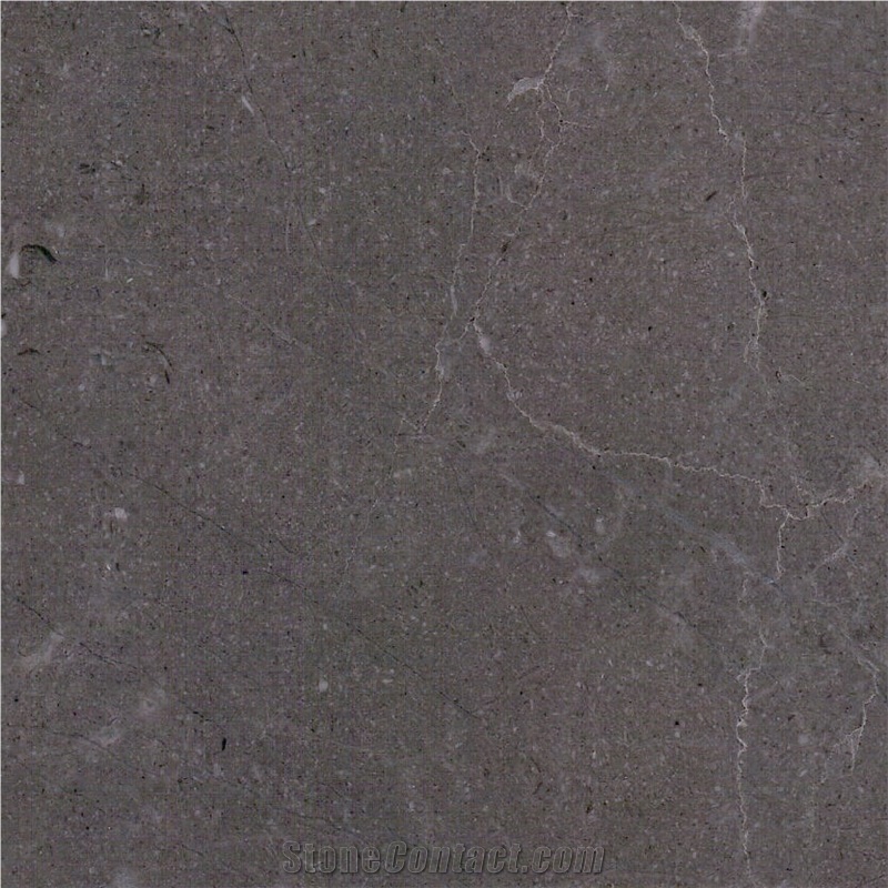 Assinis Silver Grey Marble Tile