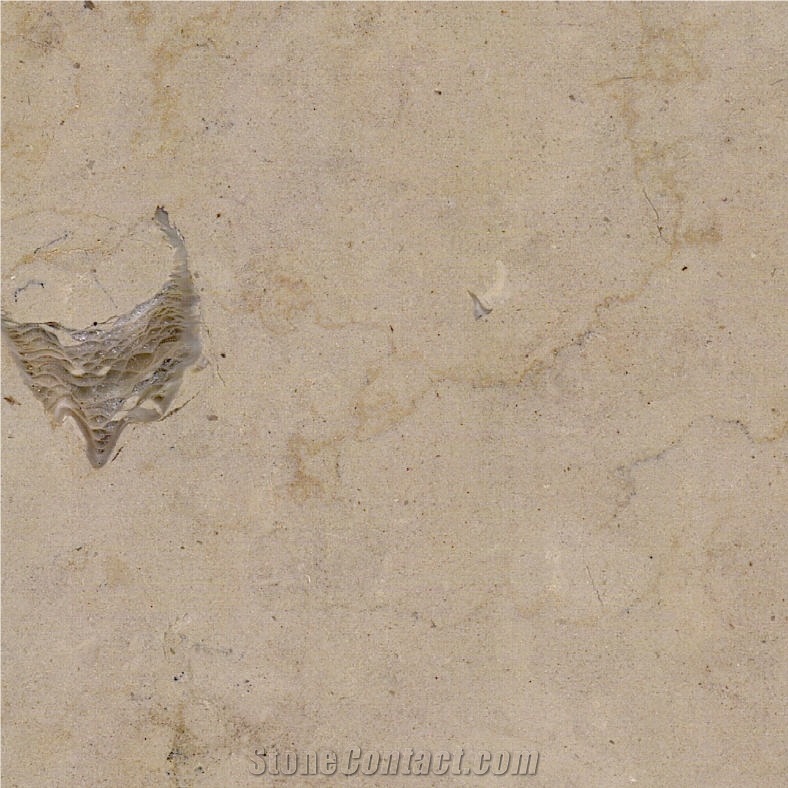 Ataija Cream Limestone Tile