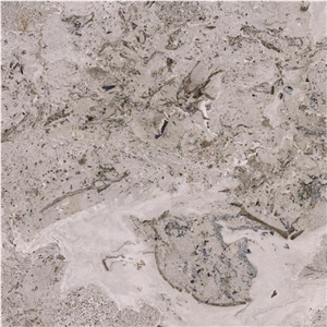 Aurisina Fiorita Lumachella - Beige Limestone - StoneContact.com