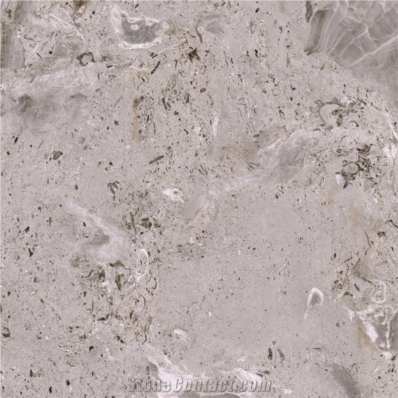 Aurisina Fiorita Limestone Tile