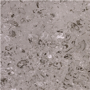 Aurisina Lumachella Limestone