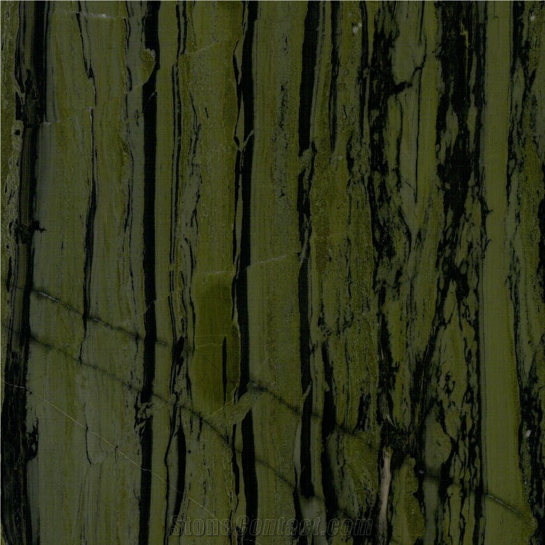 Bamboo Forest Green Quartzite 