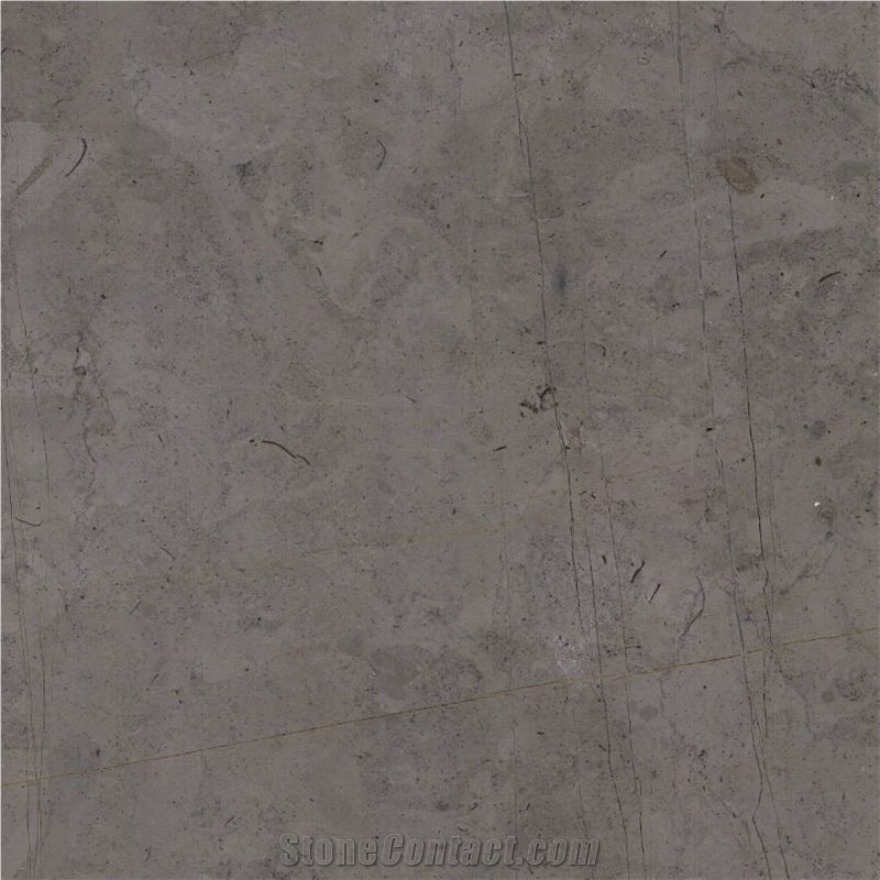 Belgium Gray Limestone 