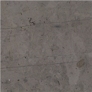 Belgium Gray Limestone Tile