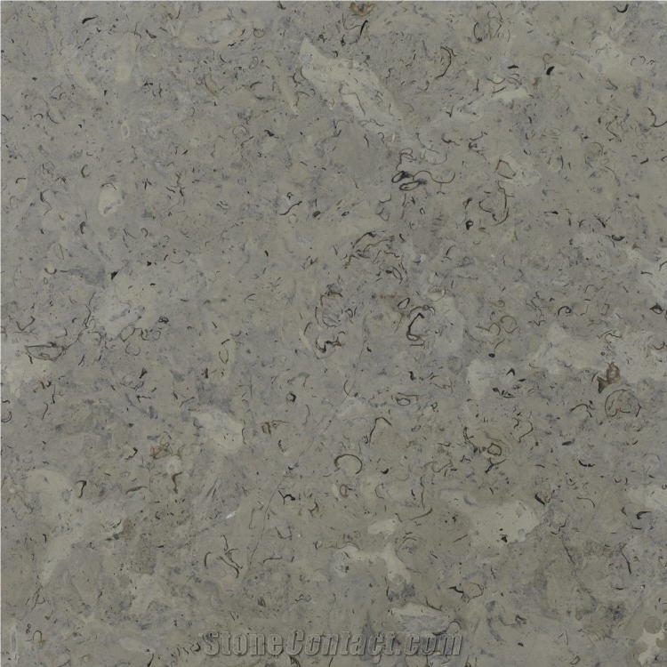 Benjamin Grey Limestone Tile