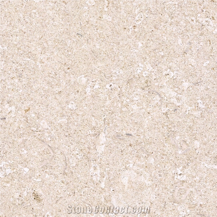 Bianco Avorio Limestone 