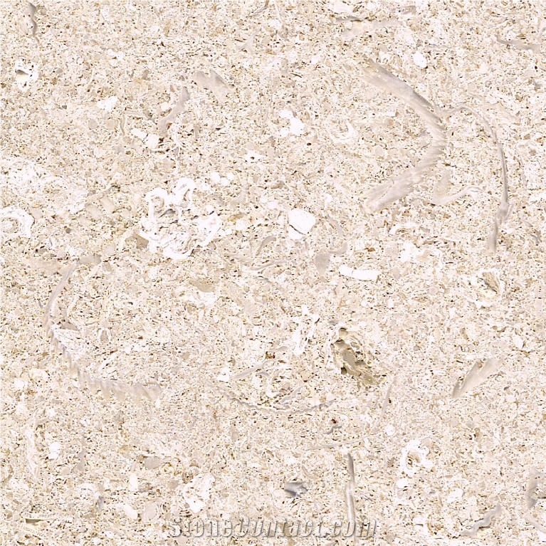 Bianco Avorio Limestone Tile