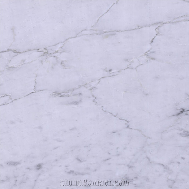 Bianco Calacatta Marble 