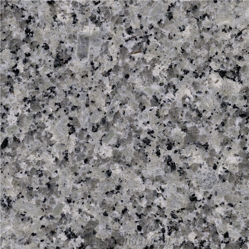 Bianco Gris Granite 