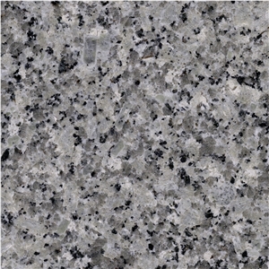 Bianco Gris Granite