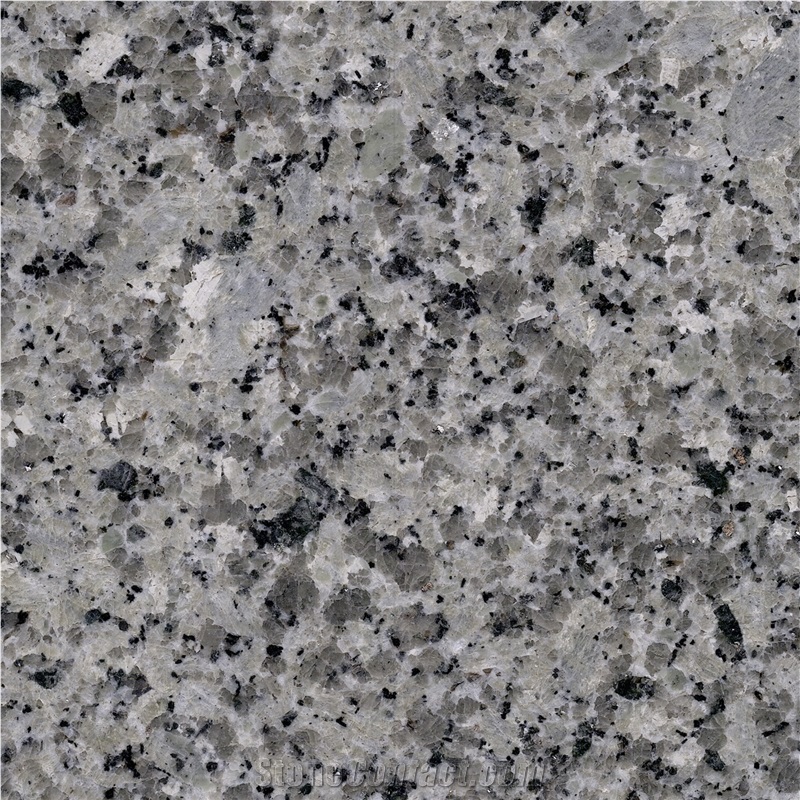 Bianco Gris Granite Tile