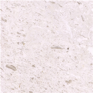 Bianco Perlato Limestone