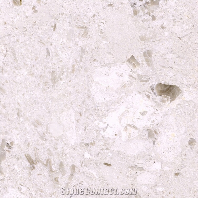 Bianco Perlato Limestone Tile
