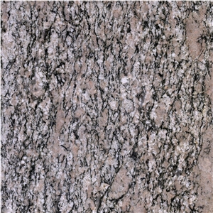 Bianco Rosa