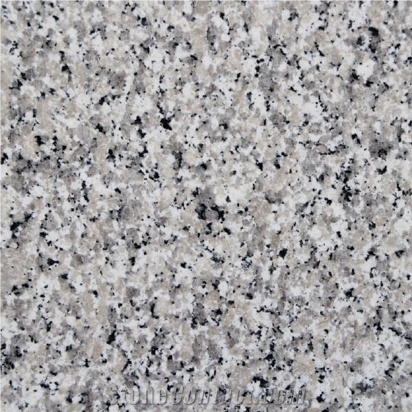 Bianco Sardo Granite Tile