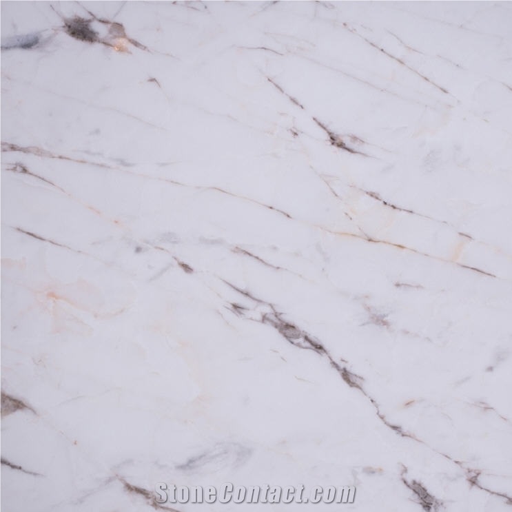 Bianco Venatino Marble 