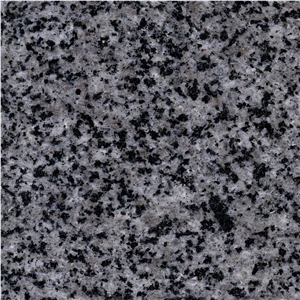Black Grain Granite