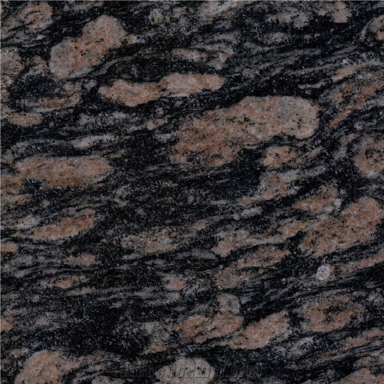 Black Magenta Granite 