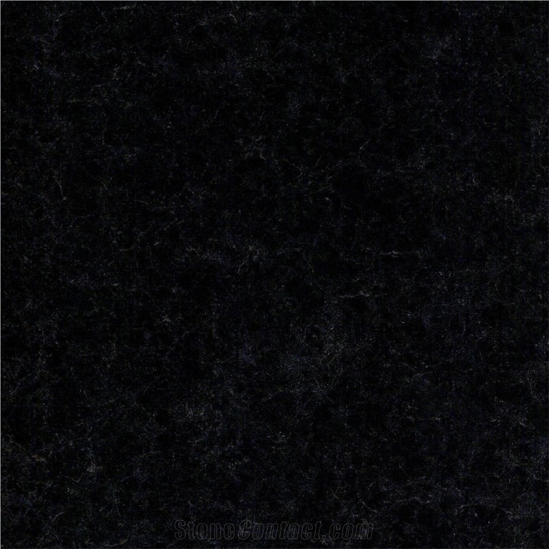 Black Oasis Tile