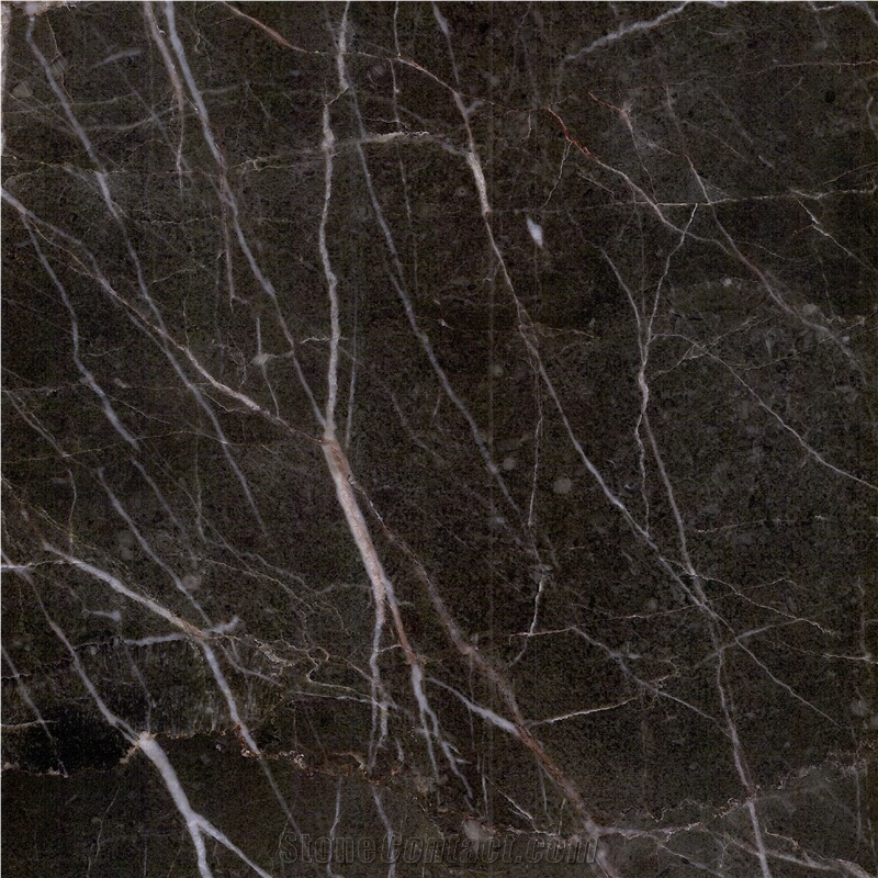 Brown Gold Marble 