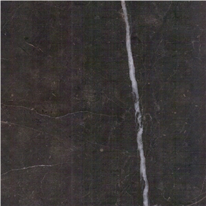 Brown Gold Marble