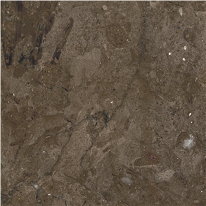 Brown Storm Marble Tile
