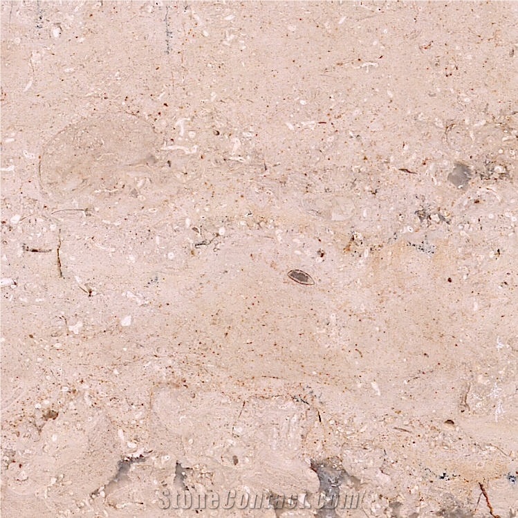 Buffon Limestone Tile