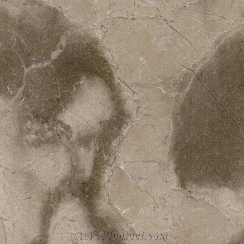 Butterfly Gold Marble Tile