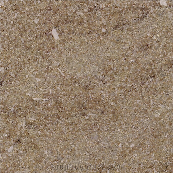 Buxy Nuance Limestone Tile