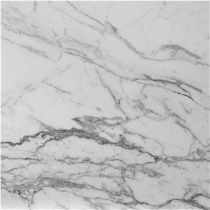 Calacatta Lucina Marble